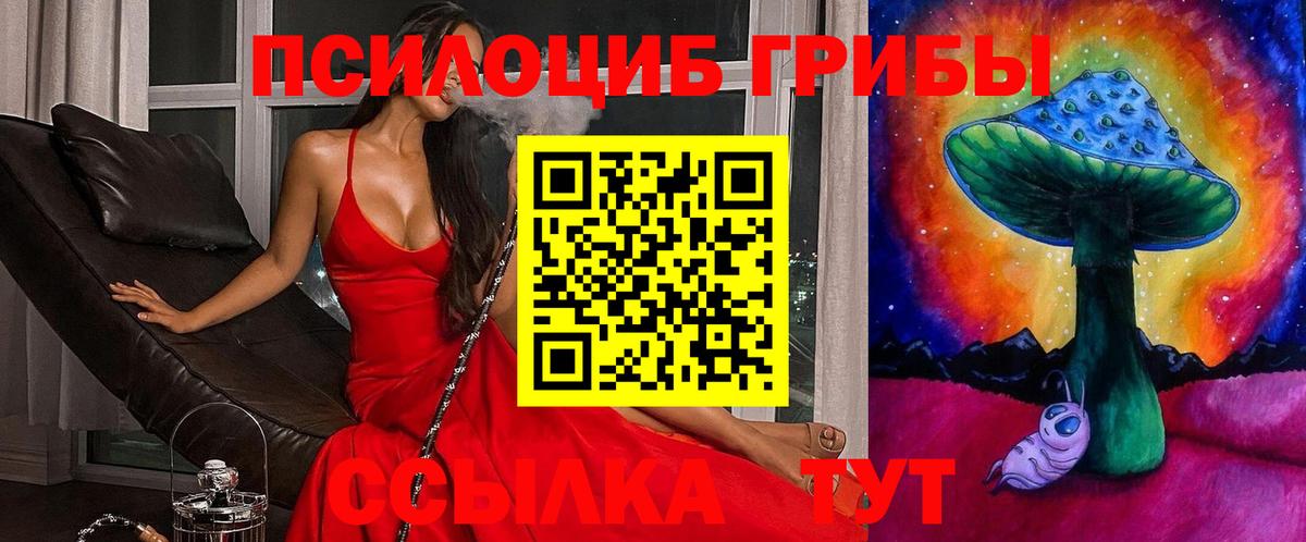 Псилоцибиновые грибы ЛСД  Вход с VPN  Псилоцибиновые грибы Psilocybe  где найти   Знаменск 