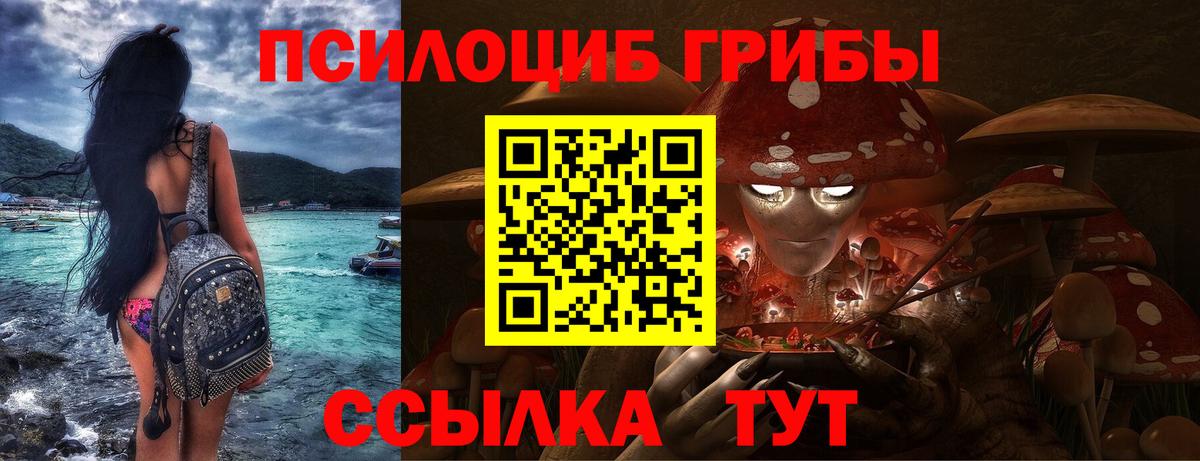 Псилоцибиновые грибы Psilocybine cubensis Знаменск